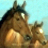 Grey Olltwit's Flat Race icon
