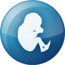Pregnancy Desktop icon