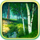 Summer Forest 3D Screensaver and Animated Wallpaper icon