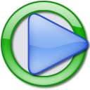 MSN Webcam Recorder icon