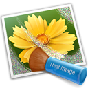 Neat Image icon