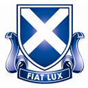 St Andrew's Bloem icon