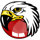 BlackHawk Web Browser icon
