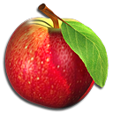Dream Fruit Farm icon