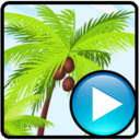 Alternate Pic View EXESlide icon