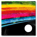 Toon Boom Animate icon