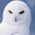 Animal Angels Screensaver icon