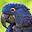 Parrots Free Screensaver icon