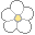 Natural Healing icon