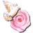 ShowCase icon