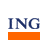 ING Business Plan icon