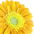 Astra Jigsaw Tropical Edition icon