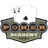 Poker Academy icon