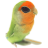 ClipMan icon