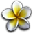 Vacation Quest - The Hawaiian Islands icon