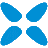 XviD icon