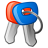 GTR2 Championship Manager icon