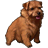 Best in Show Solitaire icon
