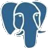 RISE PostgreSQL code generator icon