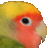 PhotoWipe icon