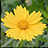 Neat Image Pro+ icon