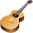 MagicScore Guitar icon