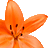 Astra Jigsaw Art IV icon