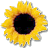 ThinkWave Educator icon