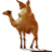 Arabic School Software icon