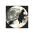 3D Halloween Holiday Screensaver icon