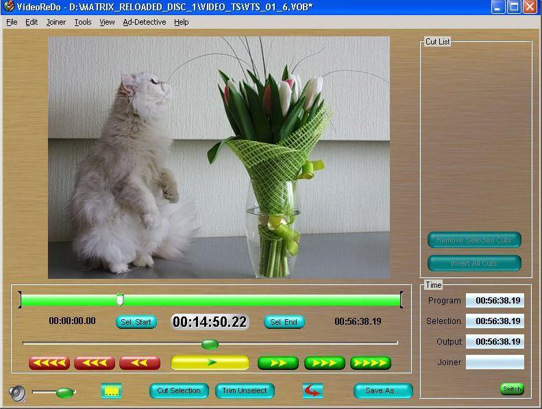 VideoReDo Plus - Screenshot #6