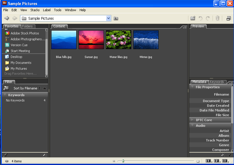 Adobe Bridge CC - Screenshot #3