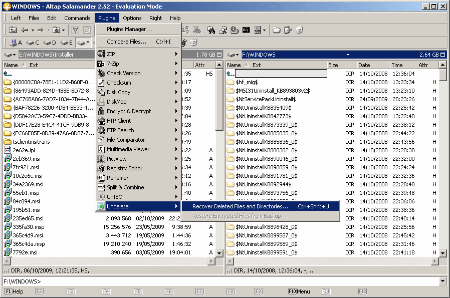 Altap Salamander - Screenshot #3
