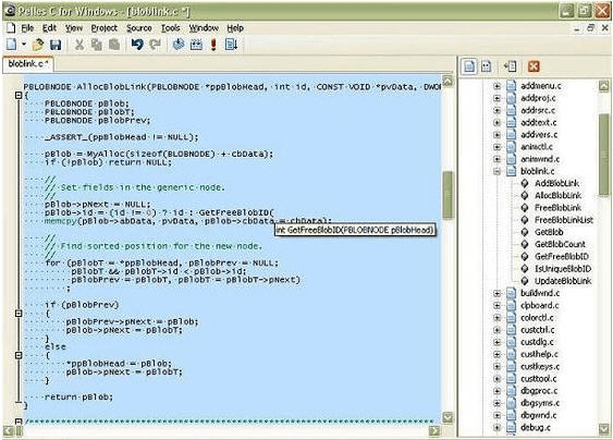 Pelles C for Windows - Screenshot #12