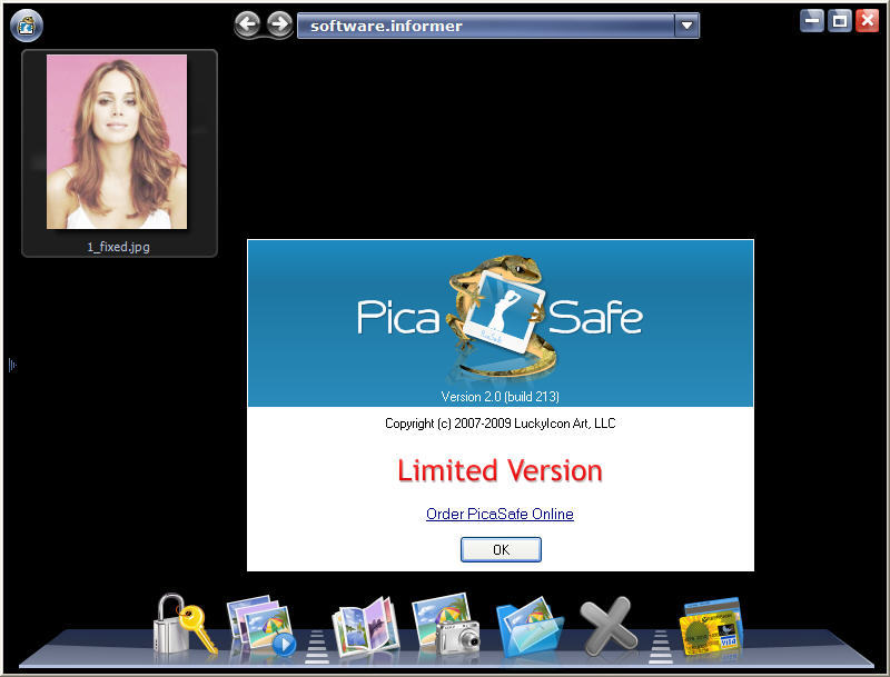 picasafe review