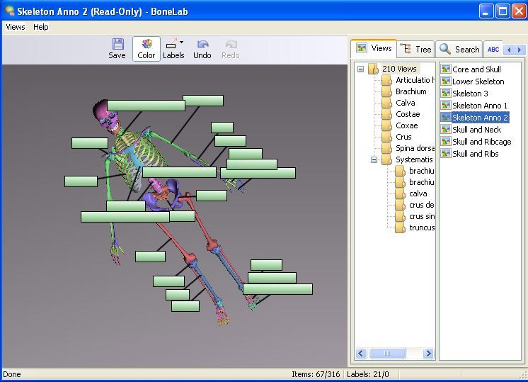 bone lab download free