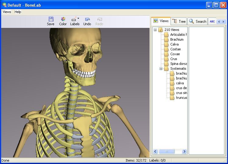 bone lab download free