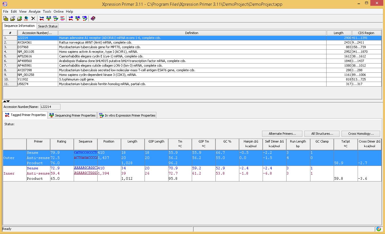 Xpression Primer - Screenshot #1