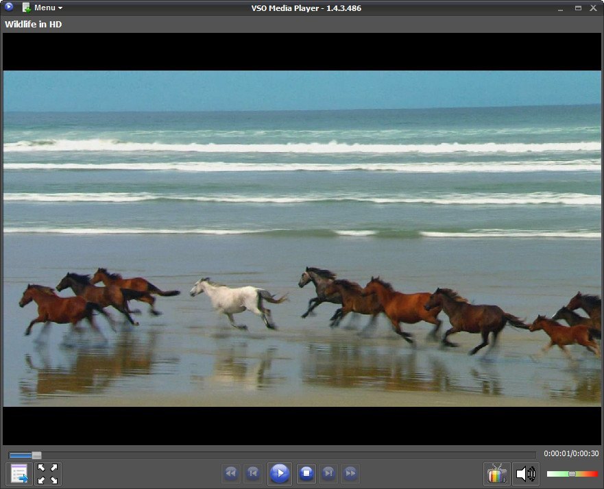 VSO Media Player - Screenshot #9