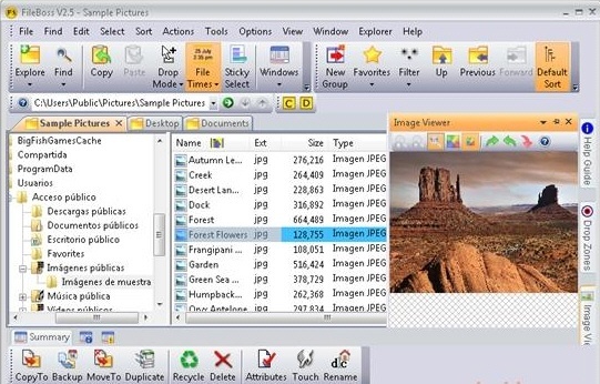 FileBoss - Screenshot #4