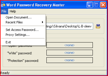 Word Password Recovery Master - Screenshot #12