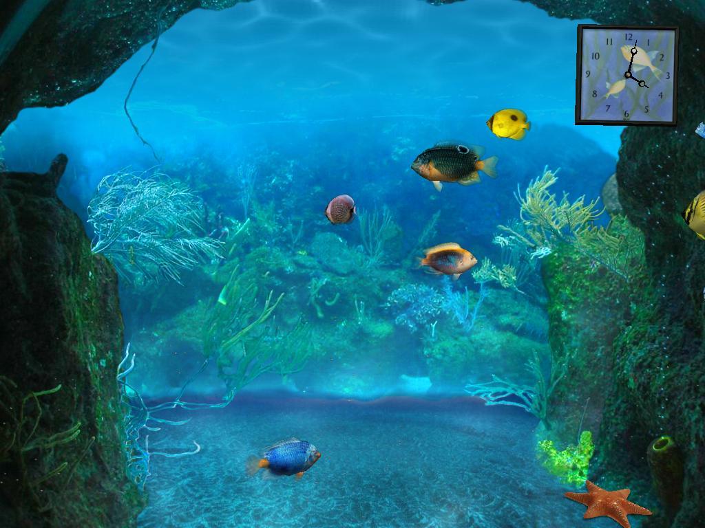 Moving screen. Анимированные заставки для виндовс 8.1. XP Screen Aqua. Theme Aquarium.