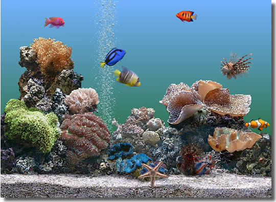 Marine Aquarium - Screenshot #19