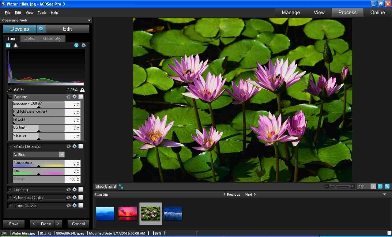ACDSee Pro - Screenshot #22