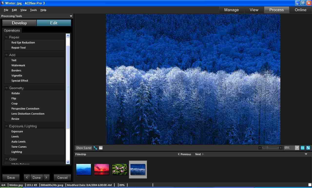 ACDSee Pro - Screenshot #21