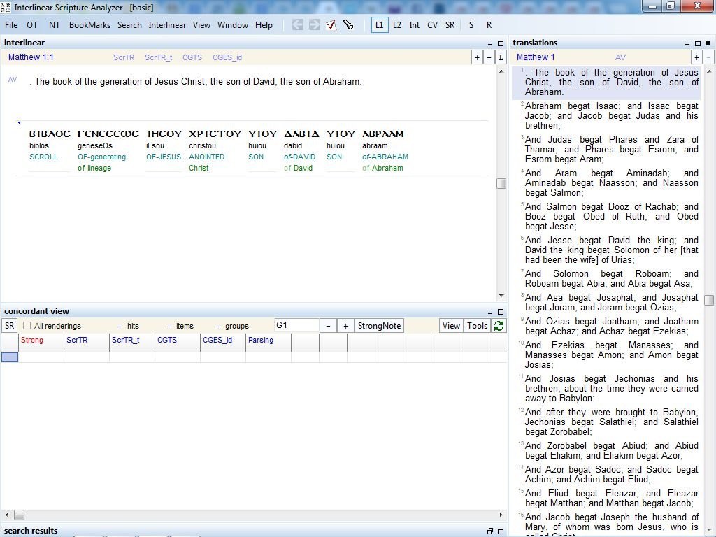 Interlinear Scripture Analyzer basic - Screenshot #4