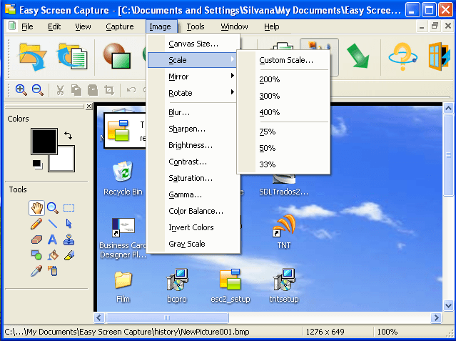 Easy Screen Capture - Screenshot #2