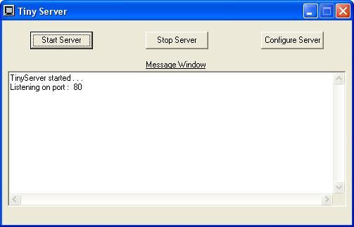 Tiny Server - Screenshot #1