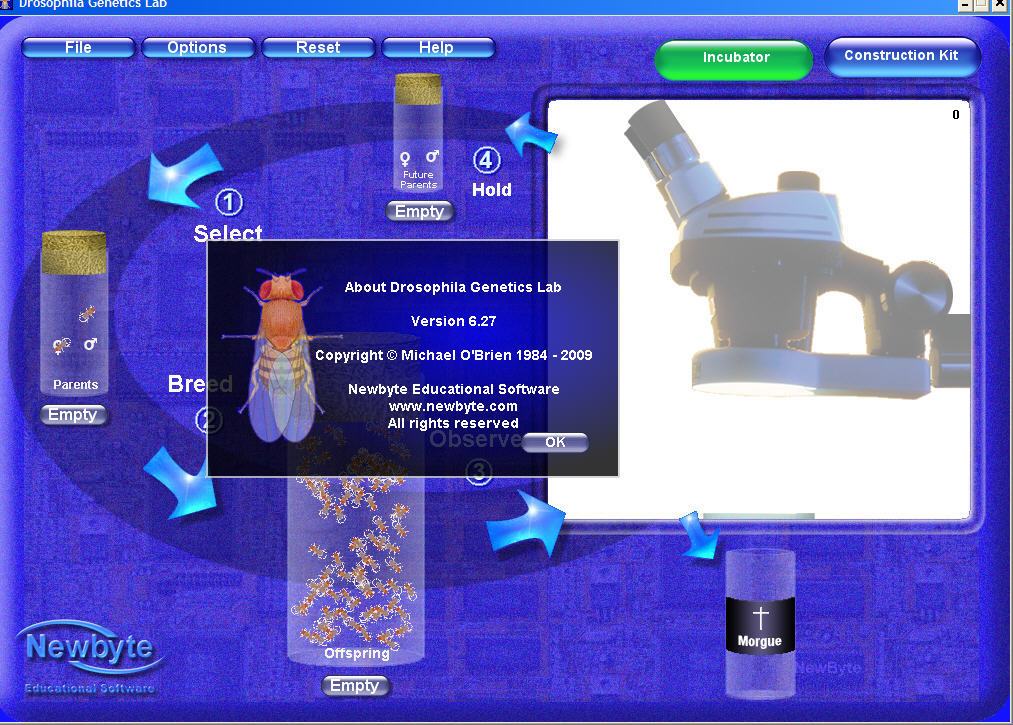Drosophila Lab download for free SoftDeluxe