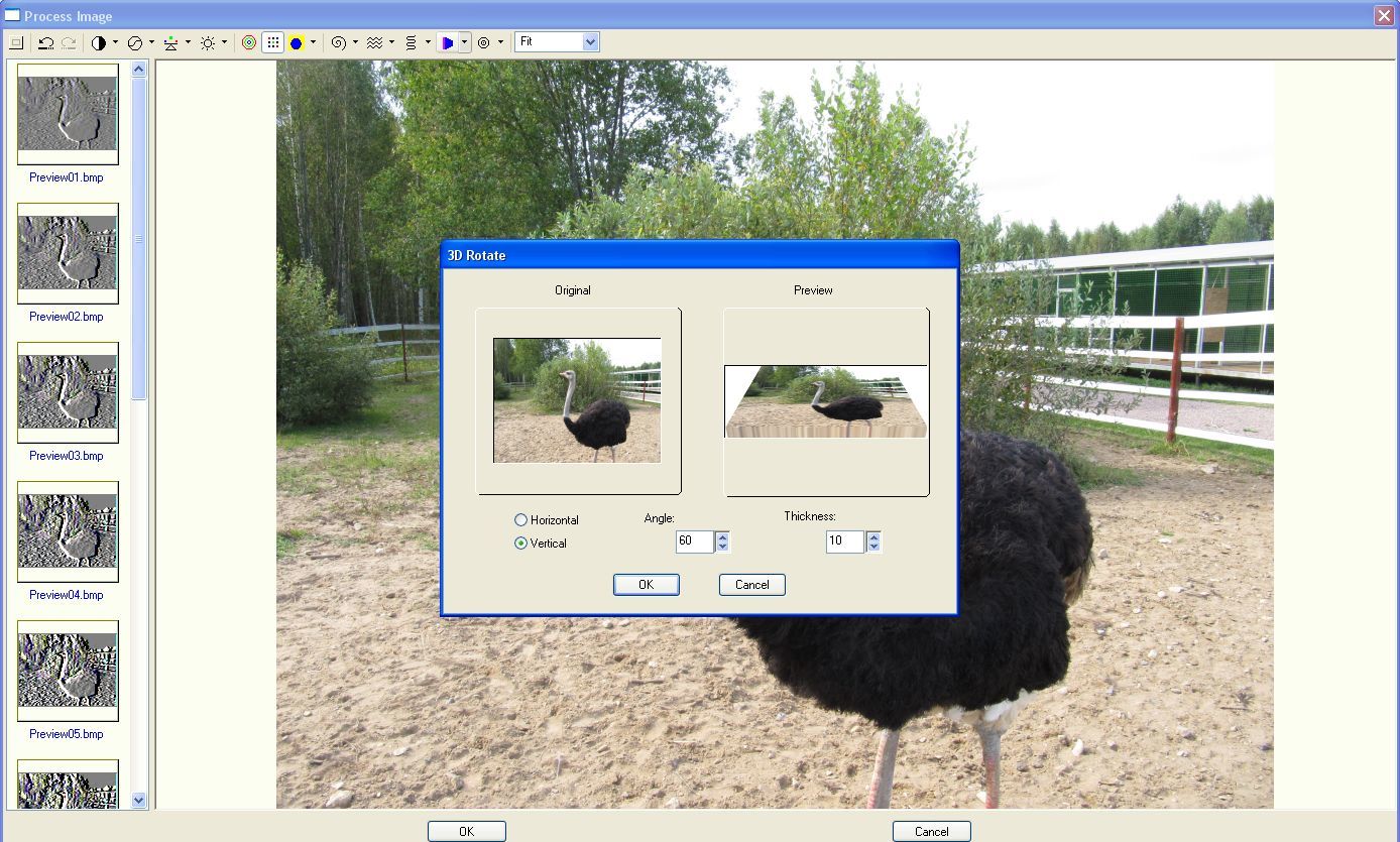 Photo Collage latest version Get best Windows software